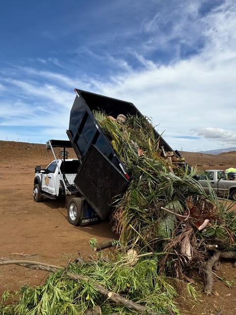 Green waste Green waste