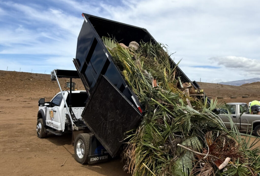 Maui green waste dumpster rental